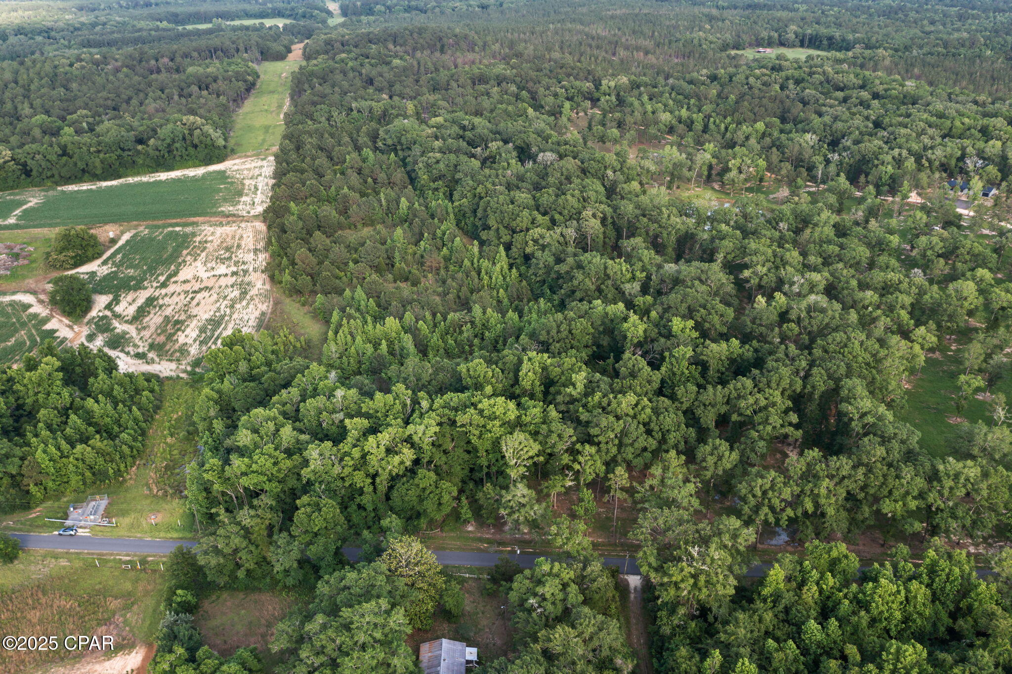 Xxx Owens Community Road Vernon, FL 32462 - Photo 10 of 20 Gallery Image 10