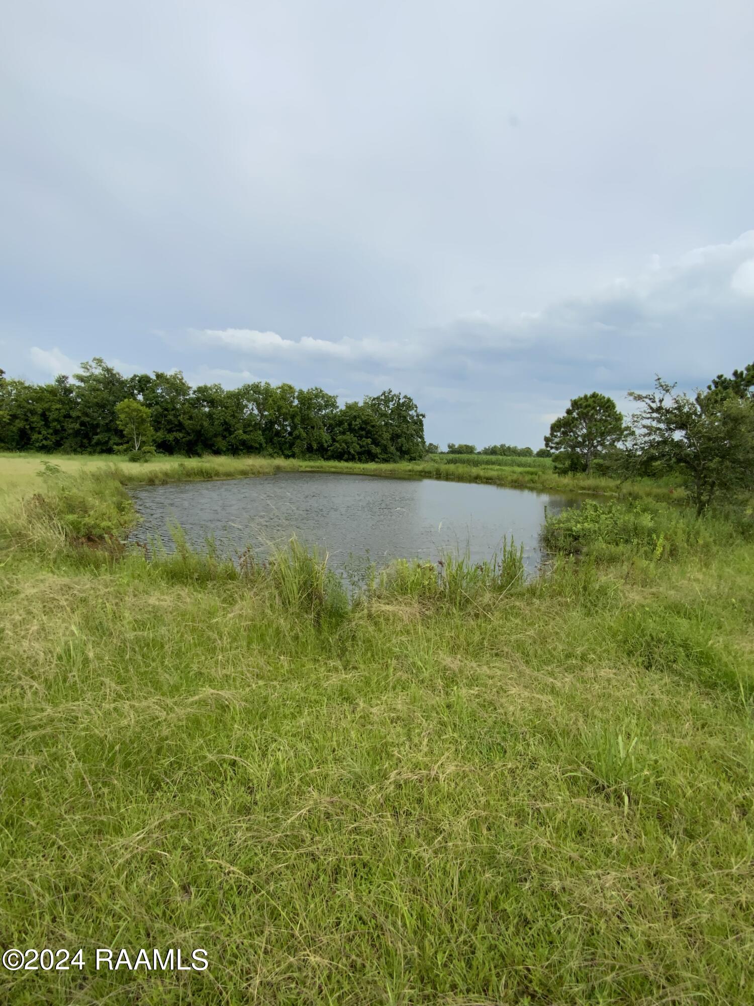 7301 West Congress Street Duson, LA 70529 - Photo 5 of 7 IMG_1223