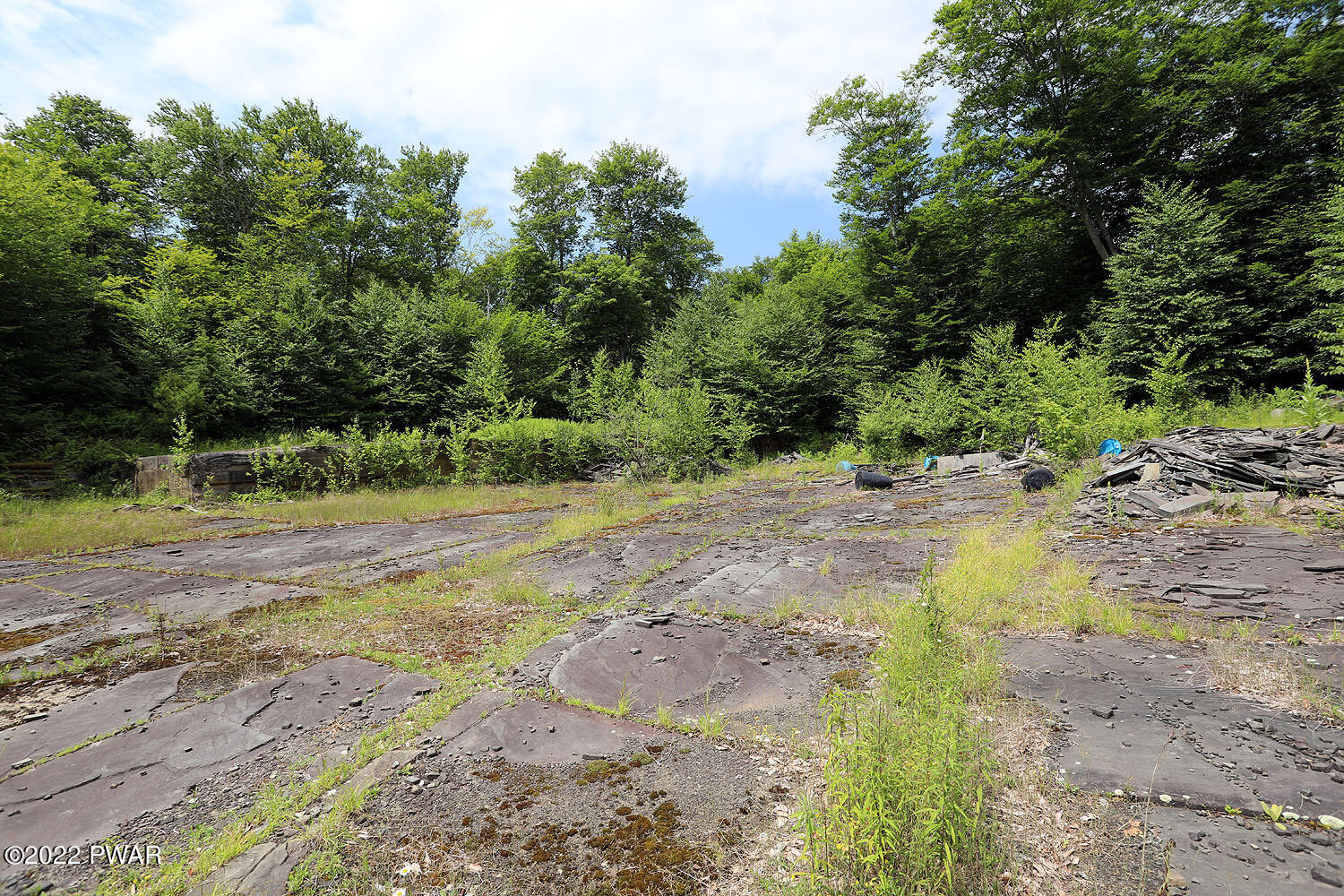 0 Minckler Mountain Road Damascus, PA 18415 - Photo 20 of 43