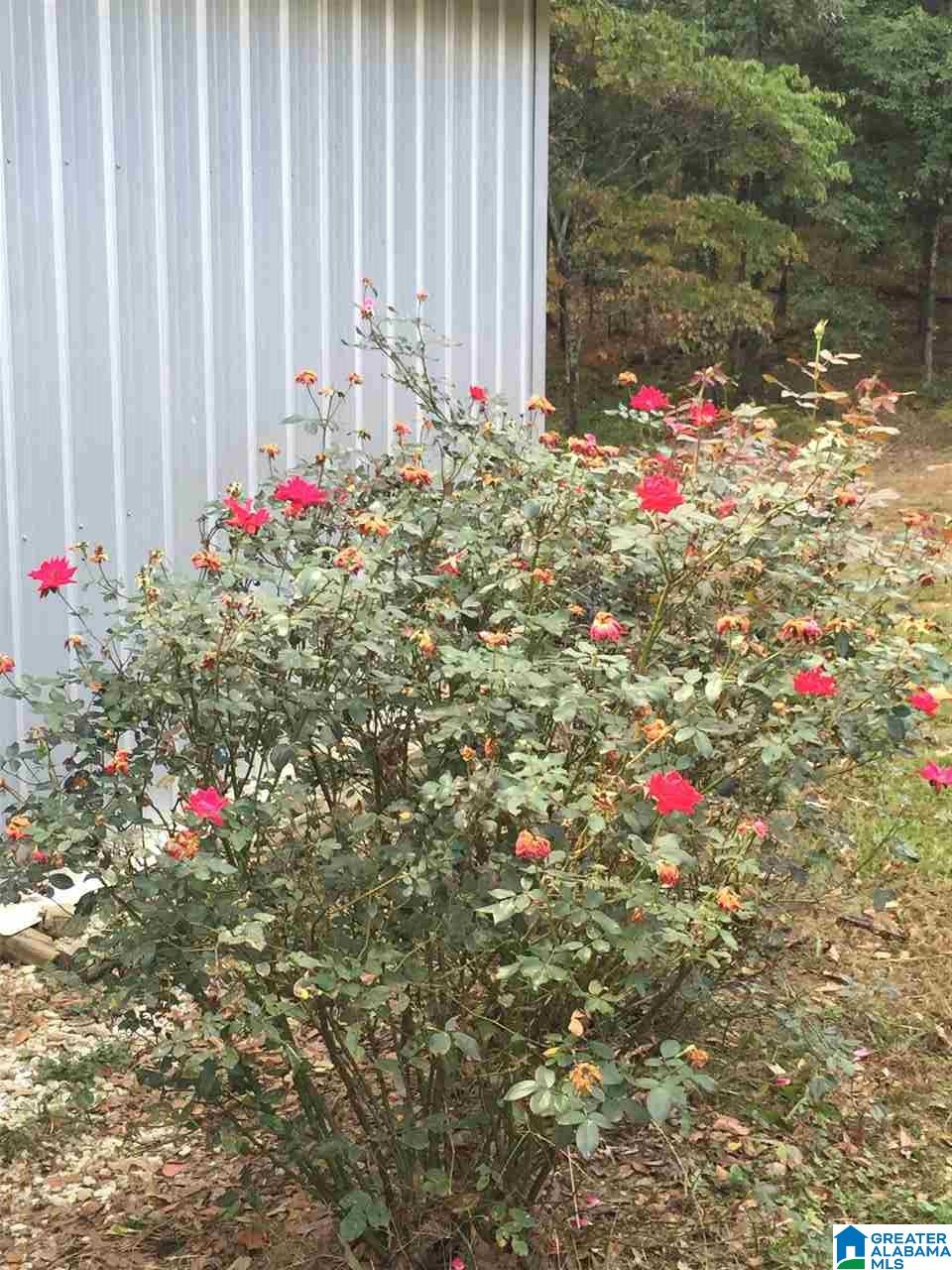 8411 Serene Lake Road McCalla, AL 35111 - Photo 34 of 40 Gallery Image 34