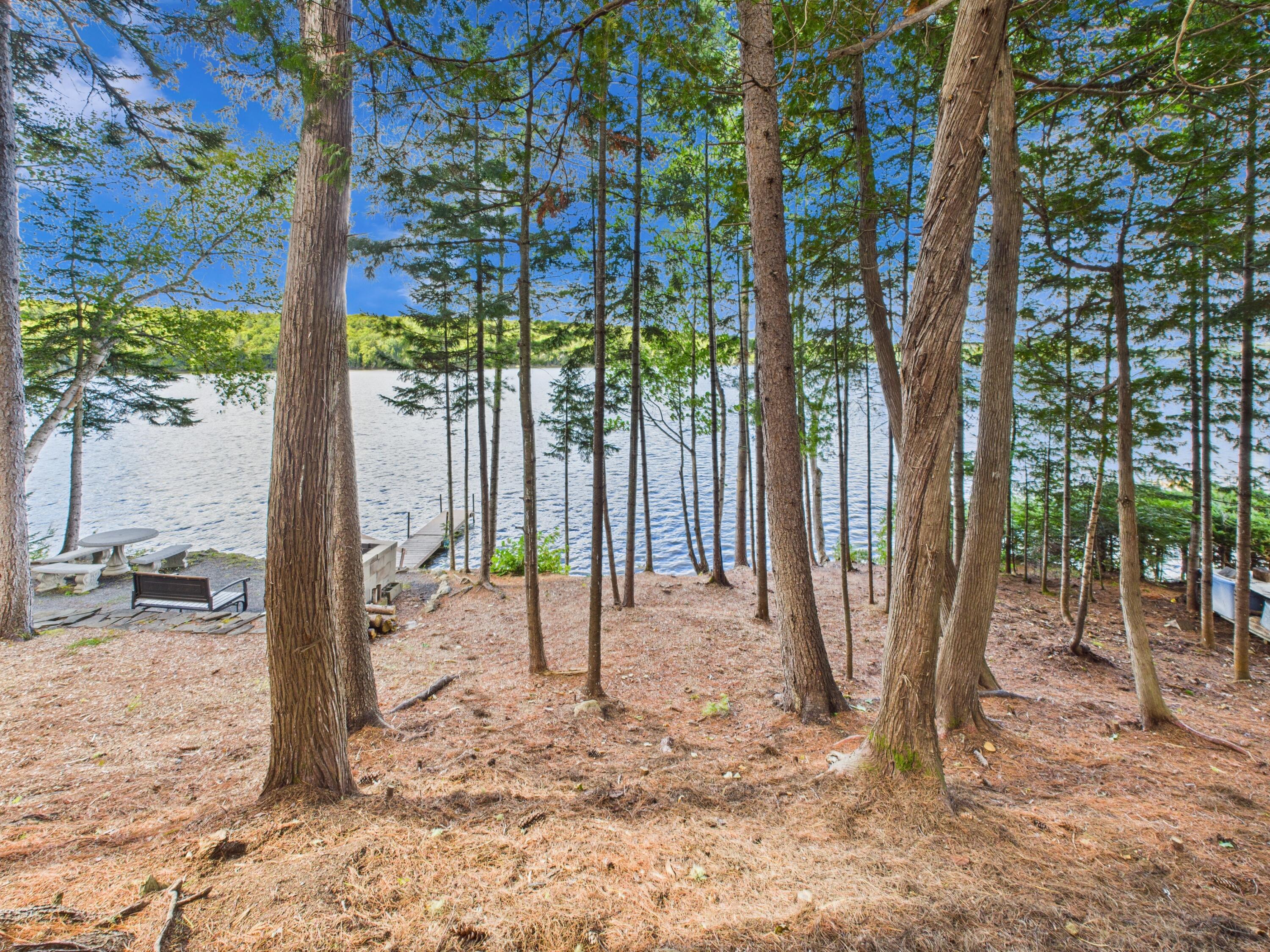 1051 South Shore Road Stockholm, ME 04783 - Photo 24 of 32 CAM05521G0-PR0024-STILL044