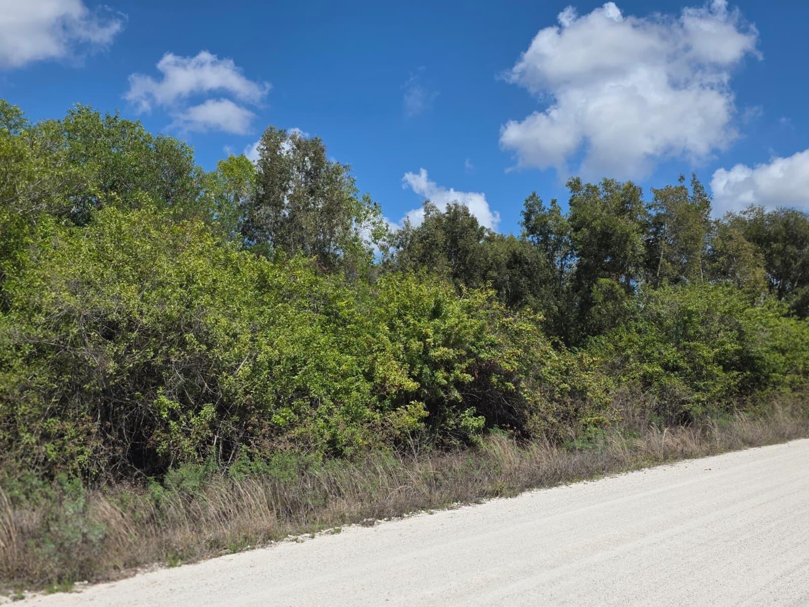 0 86th Road North West Palm Beach, FL 33412 - Photo 3 of 4 00000 86th 3