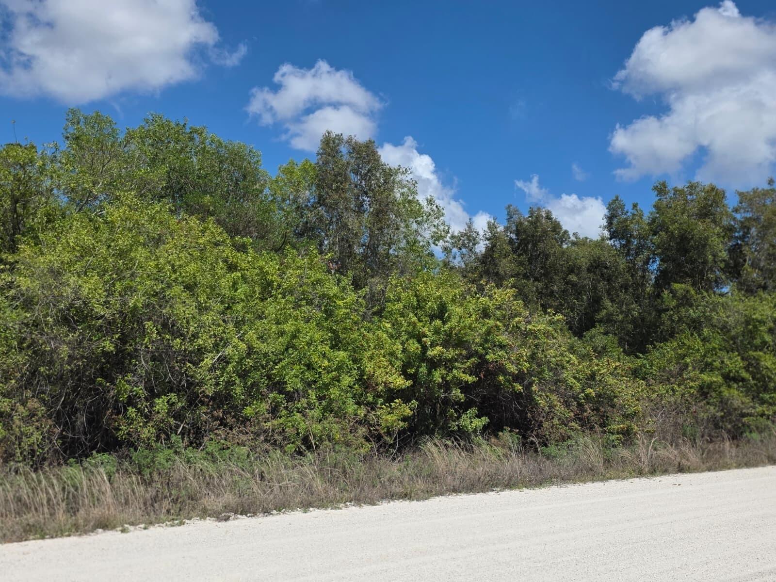 0 86th Road North West Palm Beach, FL 33412 - Photo 4 of 4 00000 86th 3