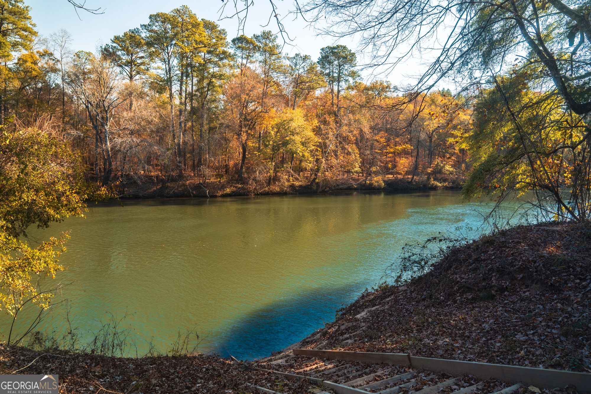 464 Old Dames Ferry Road Juliette, GA 31046 - Photo 4 of 9