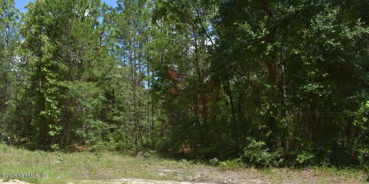 7223 Duke Street Keystone Heights, FL 32656 - Photo 2 of 2 Photo