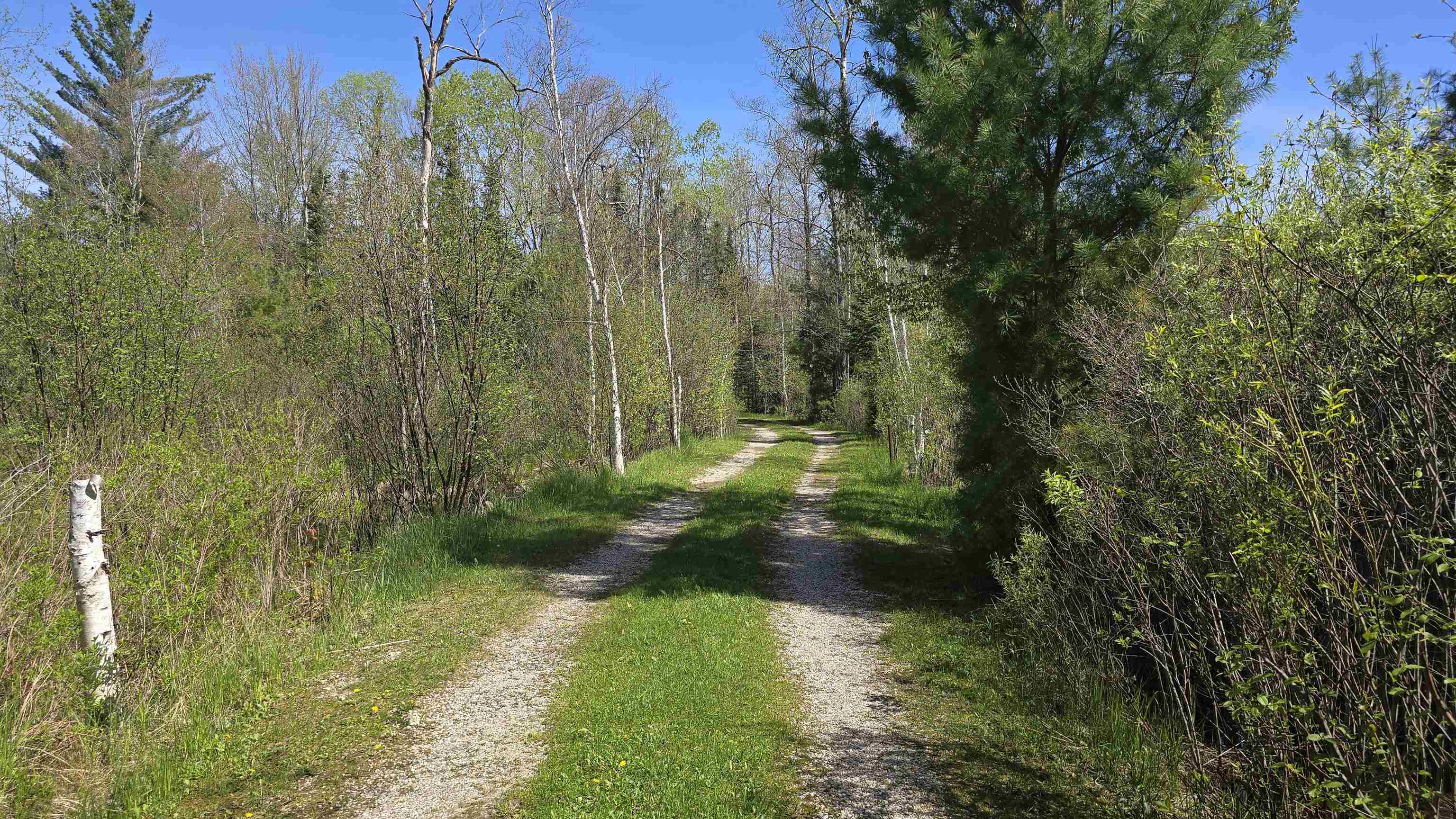 0 Lund Road Southwest Fife Lake, MI 49633 - Photo 19 of 39