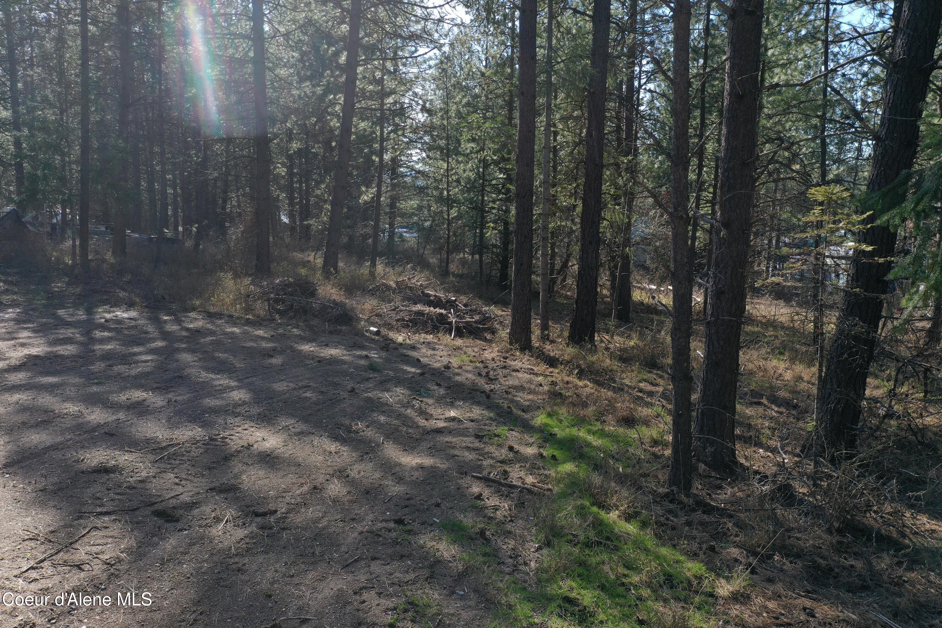 1733 South Last Chance Road Coeur D'Alene, ID 83814 - Photo 13 of 32 DJI_0938