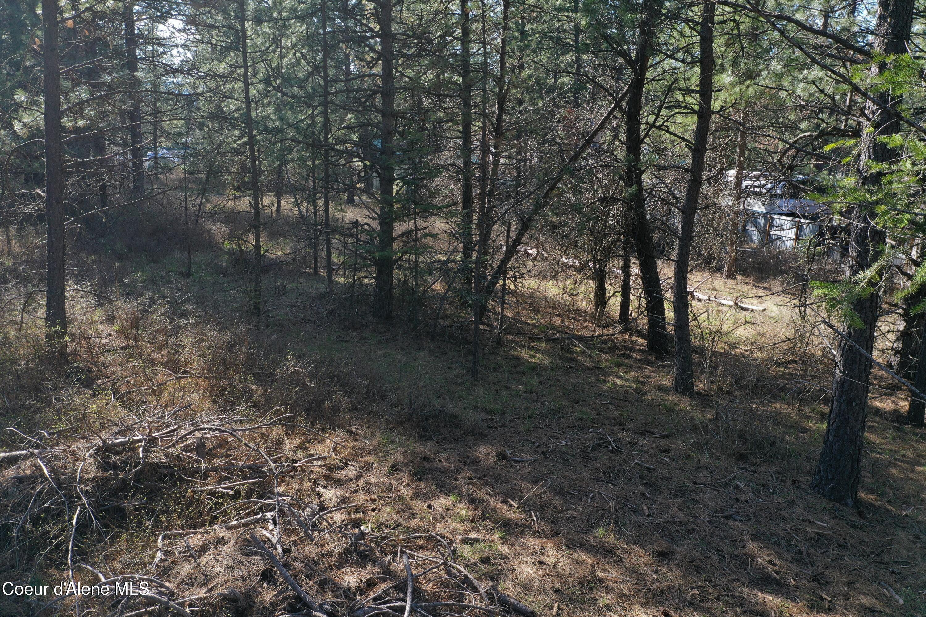 1733 South Last Chance Road Coeur D'Alene, ID 83814 - Photo 19 of 32 DJI_0941