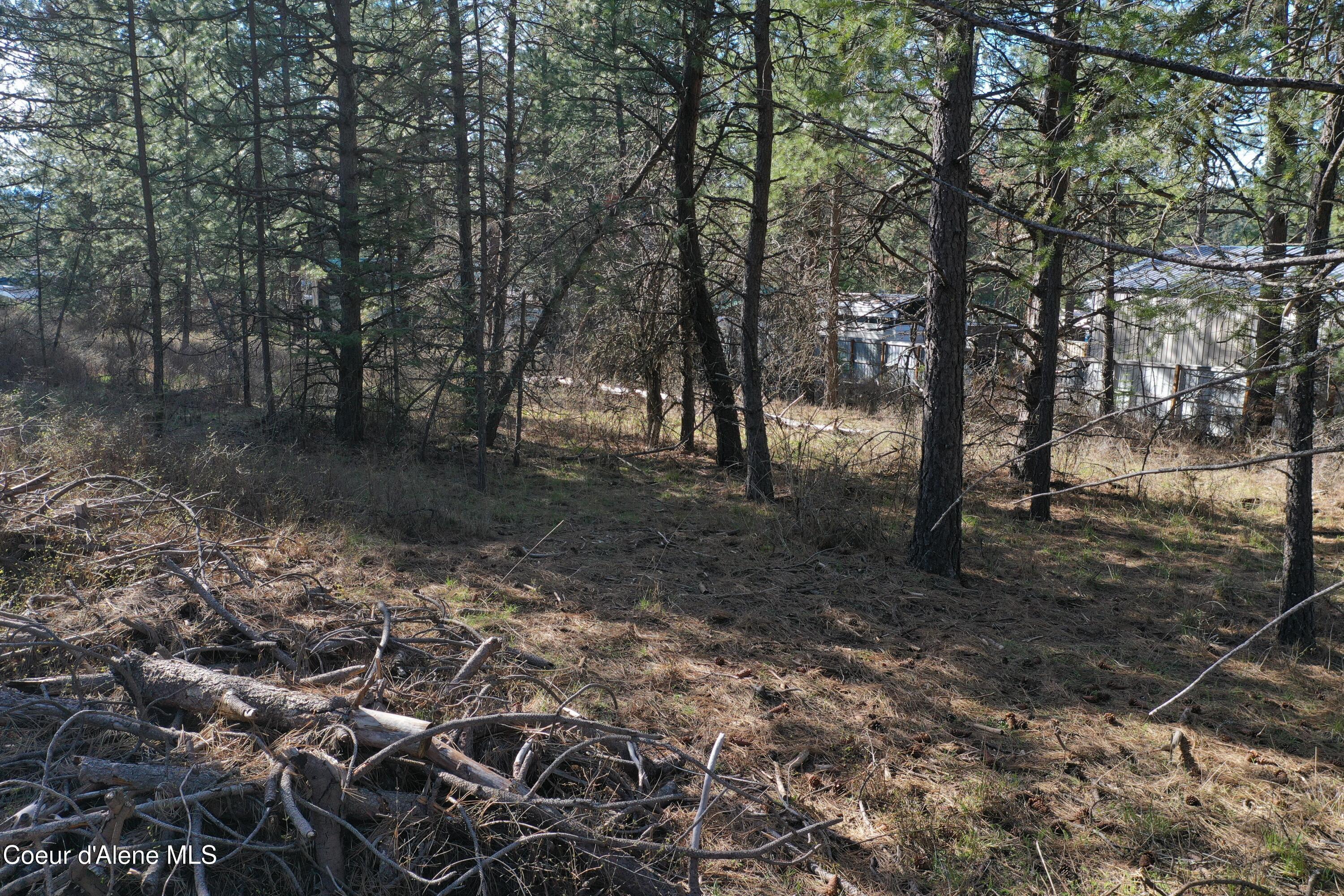 1733 South Last Chance Road Coeur D'Alene, ID 83814 - Photo 20 of 32 DJI_0944