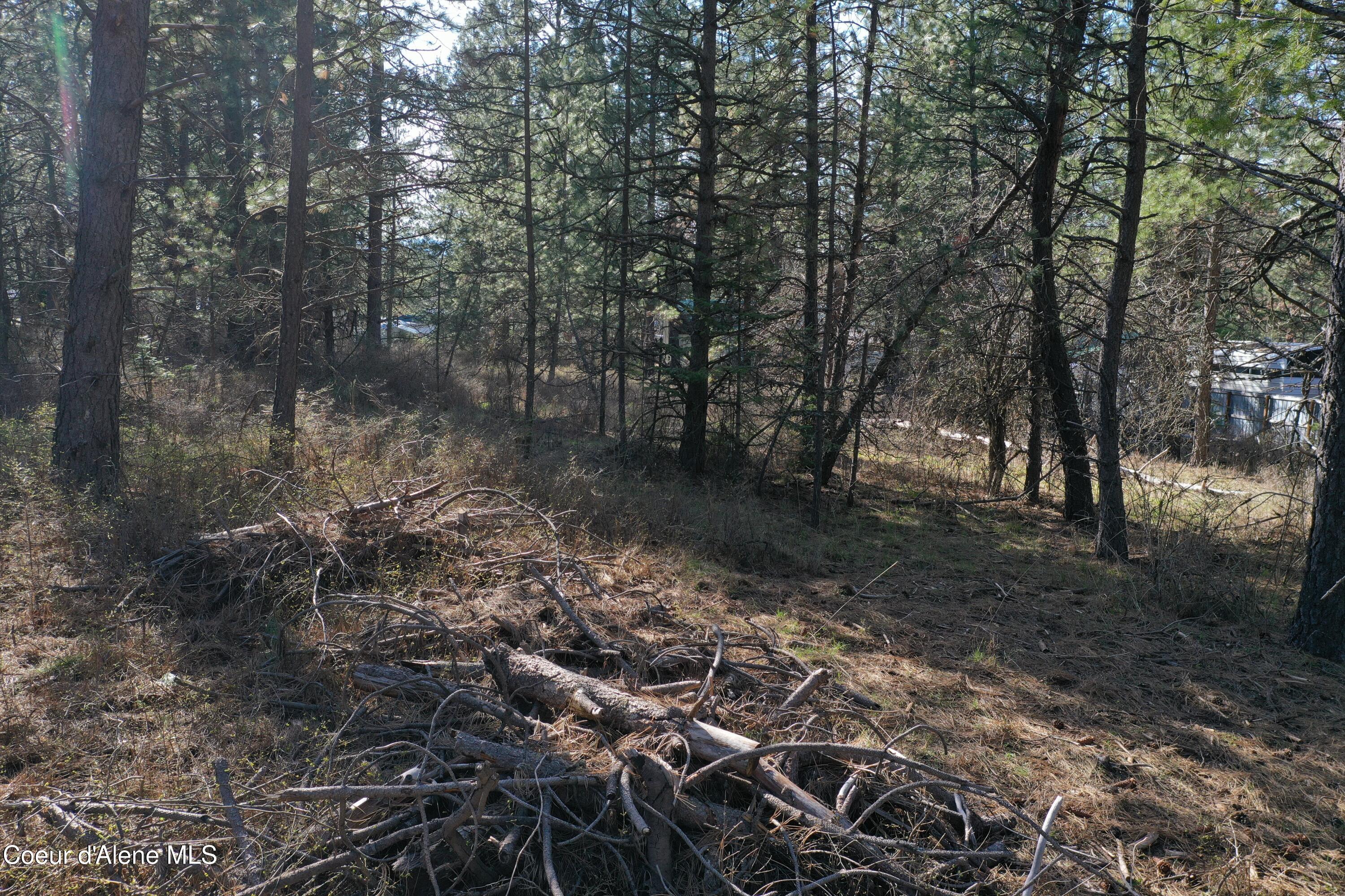 1733 South Last Chance Road Coeur D'Alene, ID 83814 - Photo 21 of 32 DJI_0947