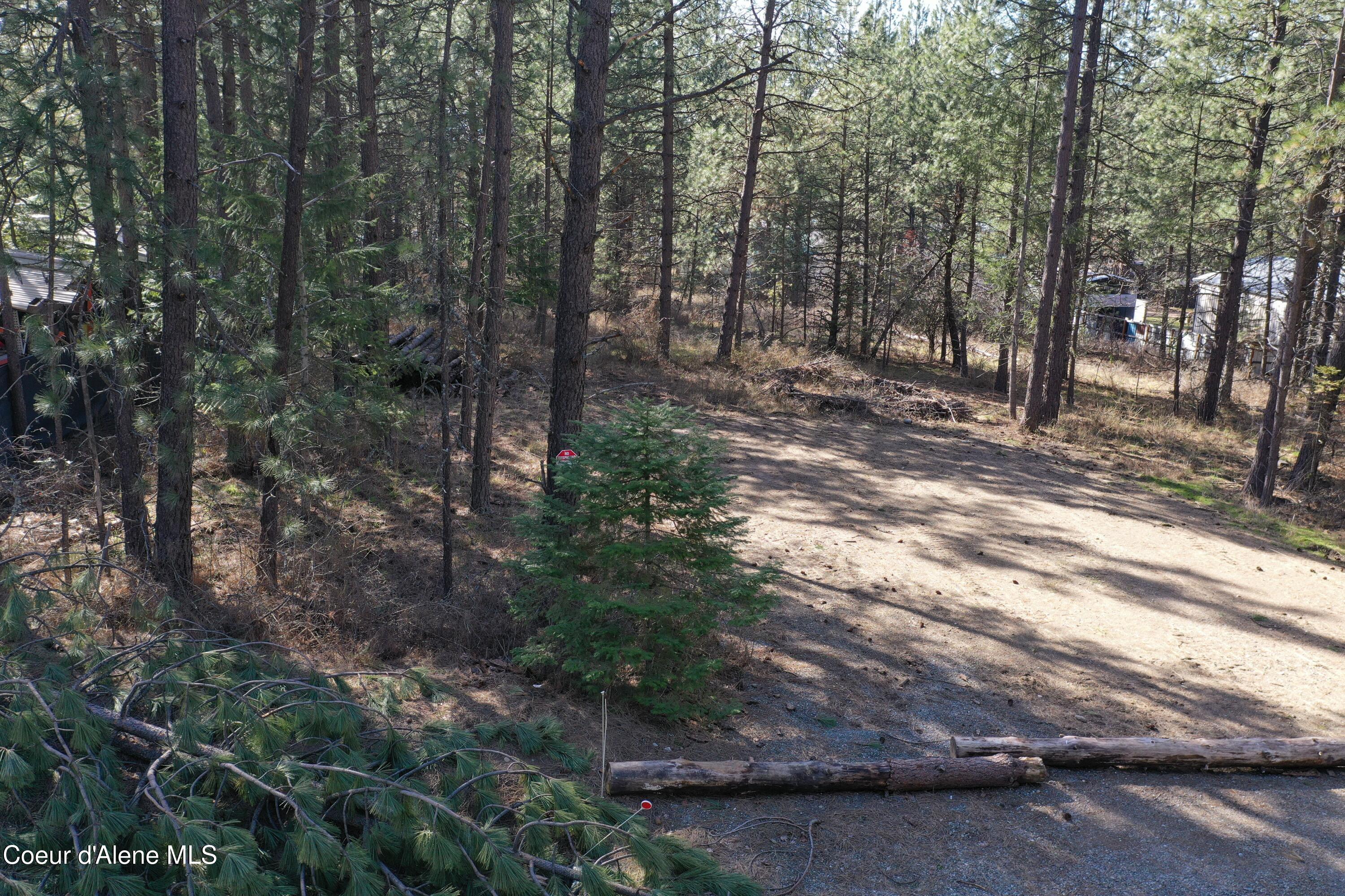 1733 South Last Chance Road Coeur D'Alene, ID 83814 - Photo 4 of 32 DJI_0884