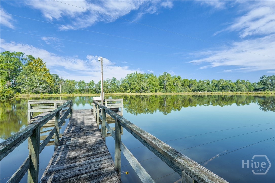 3772 Highway 301 Claxton, GA 30417 - Photo 20 of 48