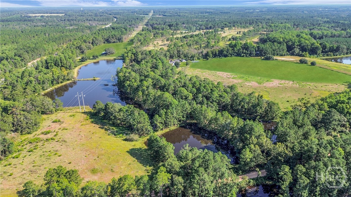 3772 Highway 301 Claxton, GA 30417 - Photo 42 of 48