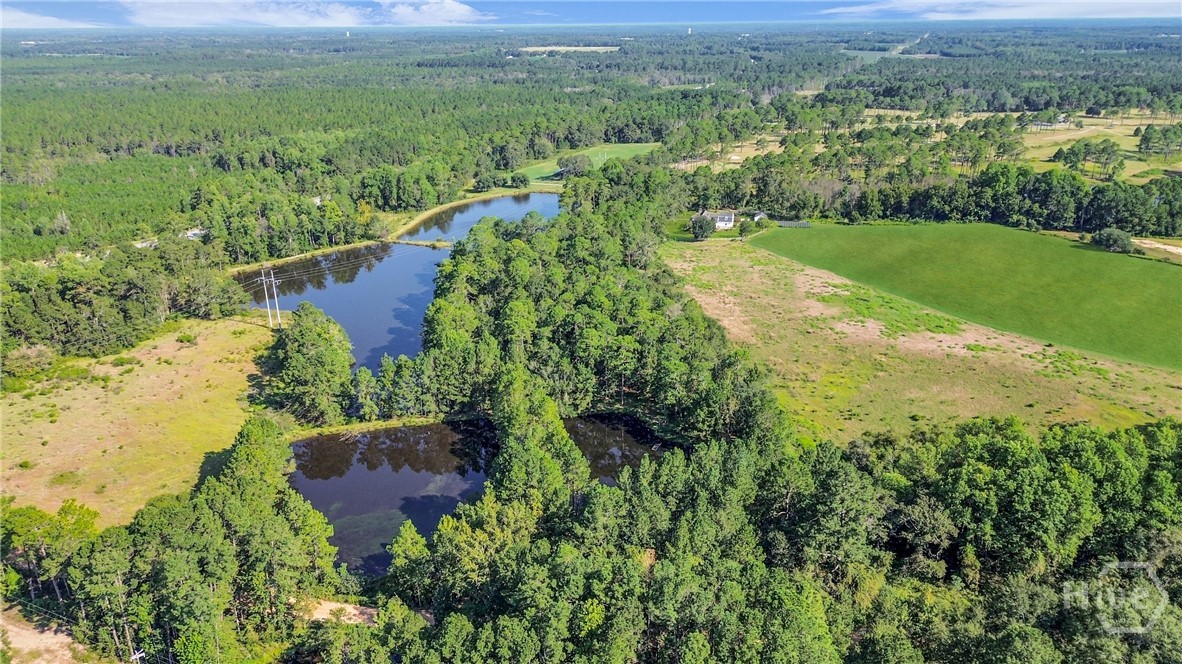 3772 Highway 301 Claxton, GA 30417 - Photo 43 of 48