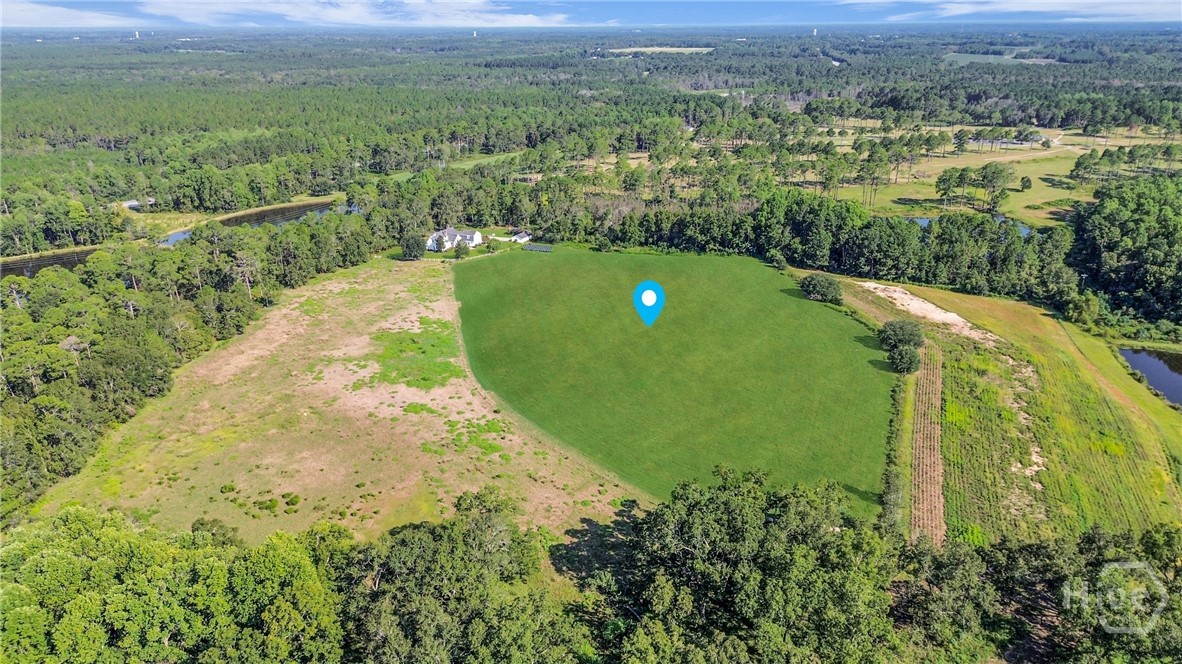 3772 Highway 301 Claxton, GA 30417 - Photo 44 of 48