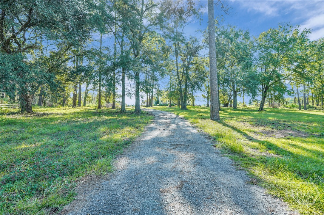 3772 Highway 301 Claxton, GA 30417 - Photo 49 of 55