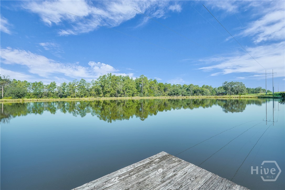 3772 Highway 301 Claxton, GA 30417 - Photo 50 of 55 6+ acre pond with dock