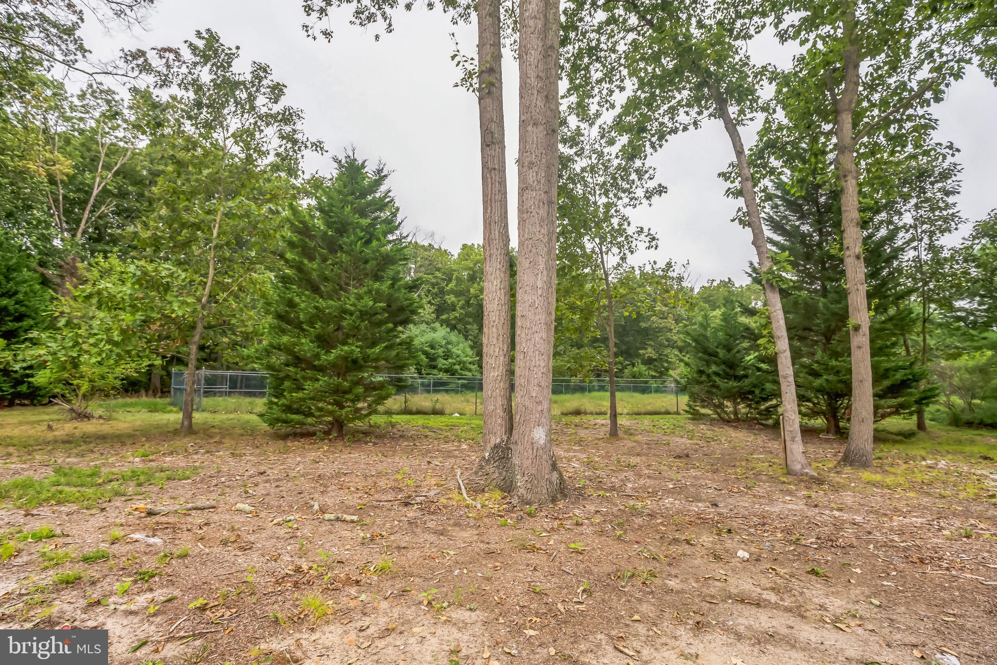 3061 Coles Mill Road Franklinville, NJ 08322 - Photo 29 of 30