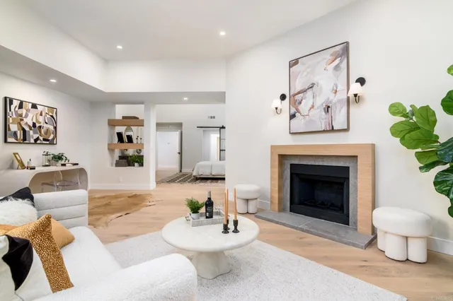 a living room with furniture a fireplace and a potted plant