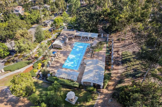 a view of a yard with plants