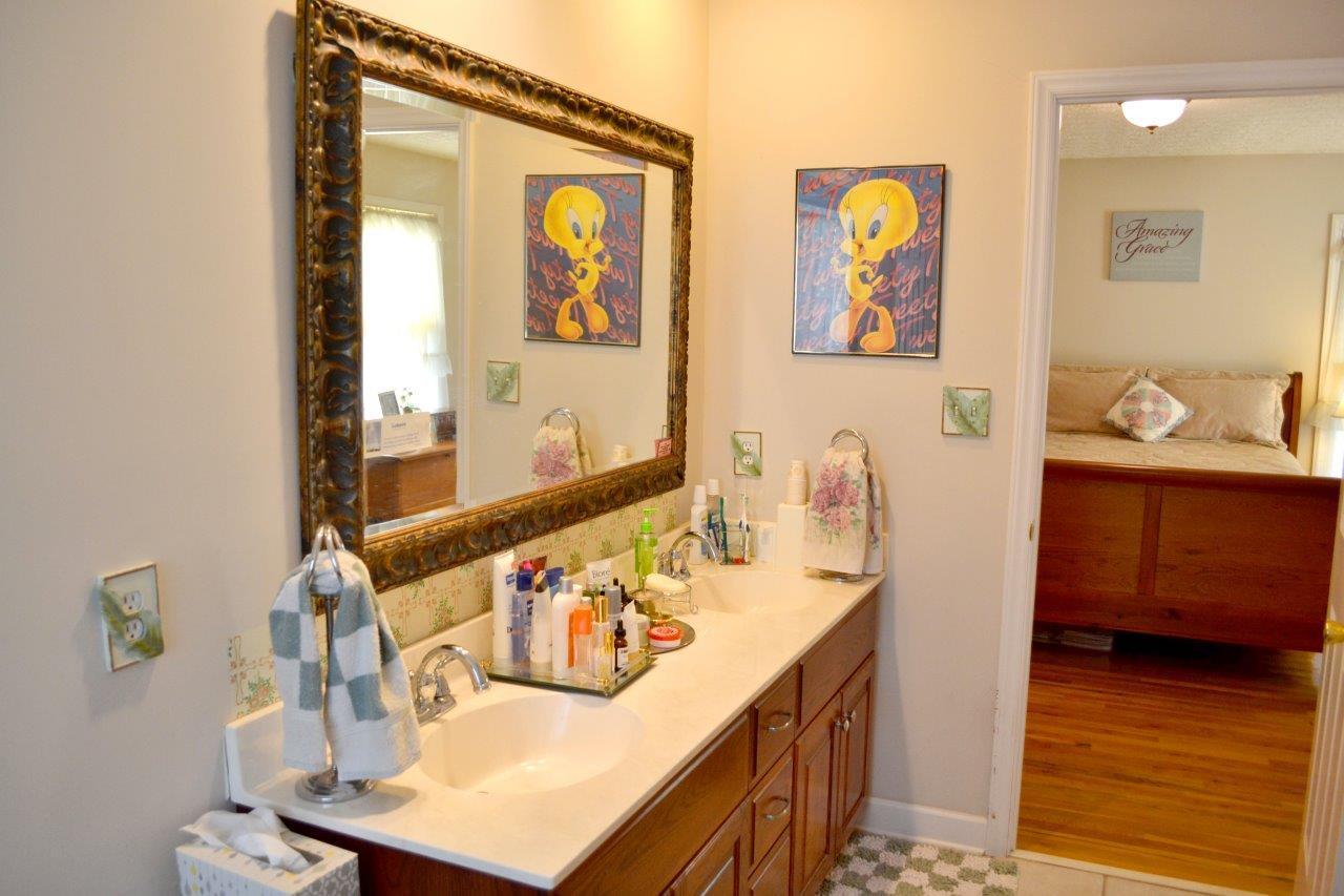 2588 Iron Ridge Road Rocky Mount, VA 24151 - Photo 22 of 65 a bathroom with a sink mirror and vanity