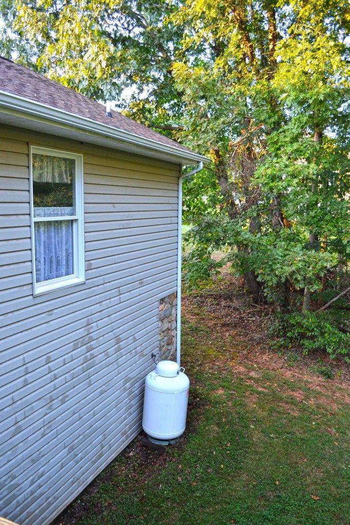 2588 Iron Ridge Road Rocky Mount, VA 24151 - Photo 56 of 65 a view of a backyard with plants and large tree