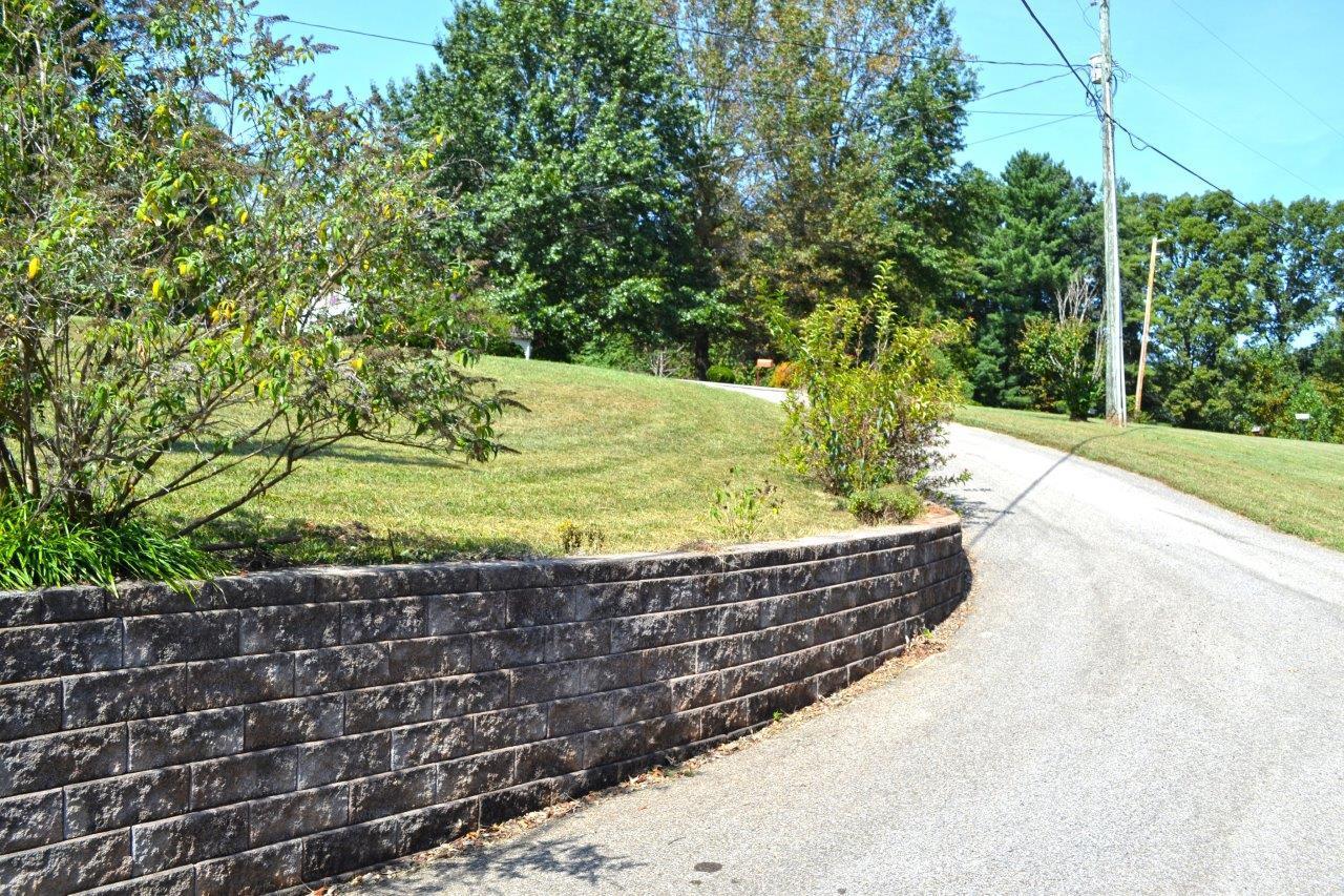 2588 Iron Ridge Road Rocky Mount, VA 24151 - Photo 57 of 65 a view of a yard with large tree