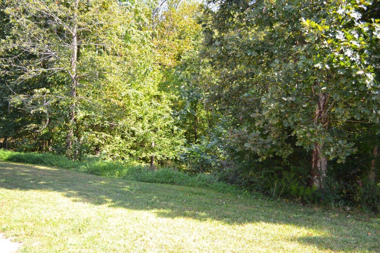 2588 Iron Ridge Road Rocky Mount, VA 24151 - Photo 58 of 65 58-DSC_0250