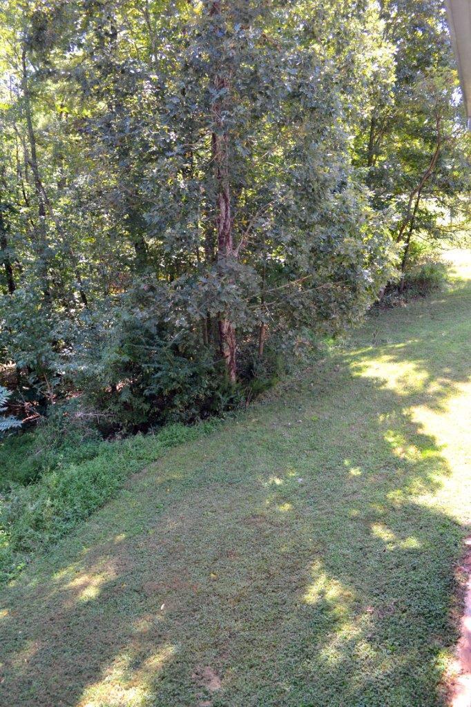 2588 Iron Ridge Road Rocky Mount, VA 24151 - Photo 61 of 65 a view of a yard with a tree