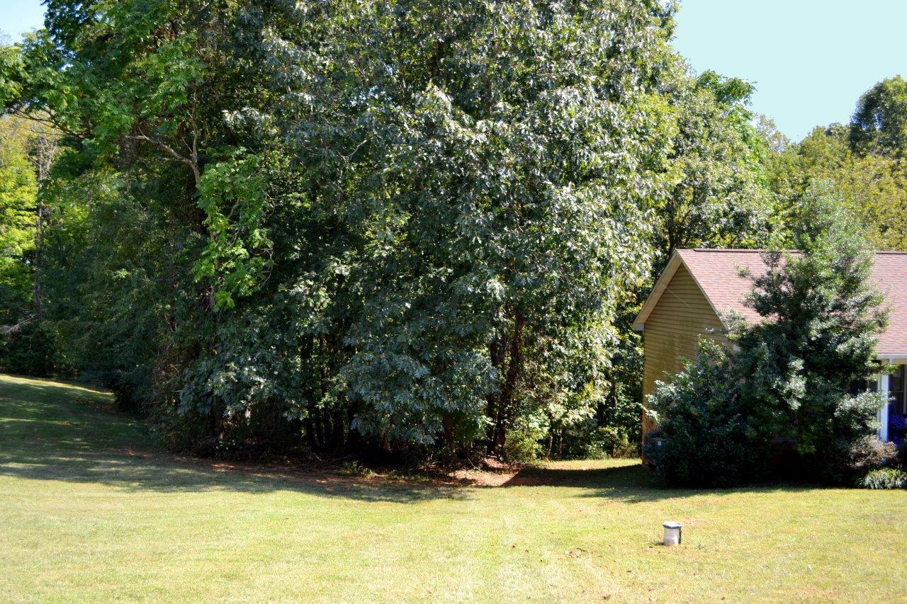 2588 Iron Ridge Road Rocky Mount, VA 24151 - Photo 62 of 65 a view of swimming pool from a yard