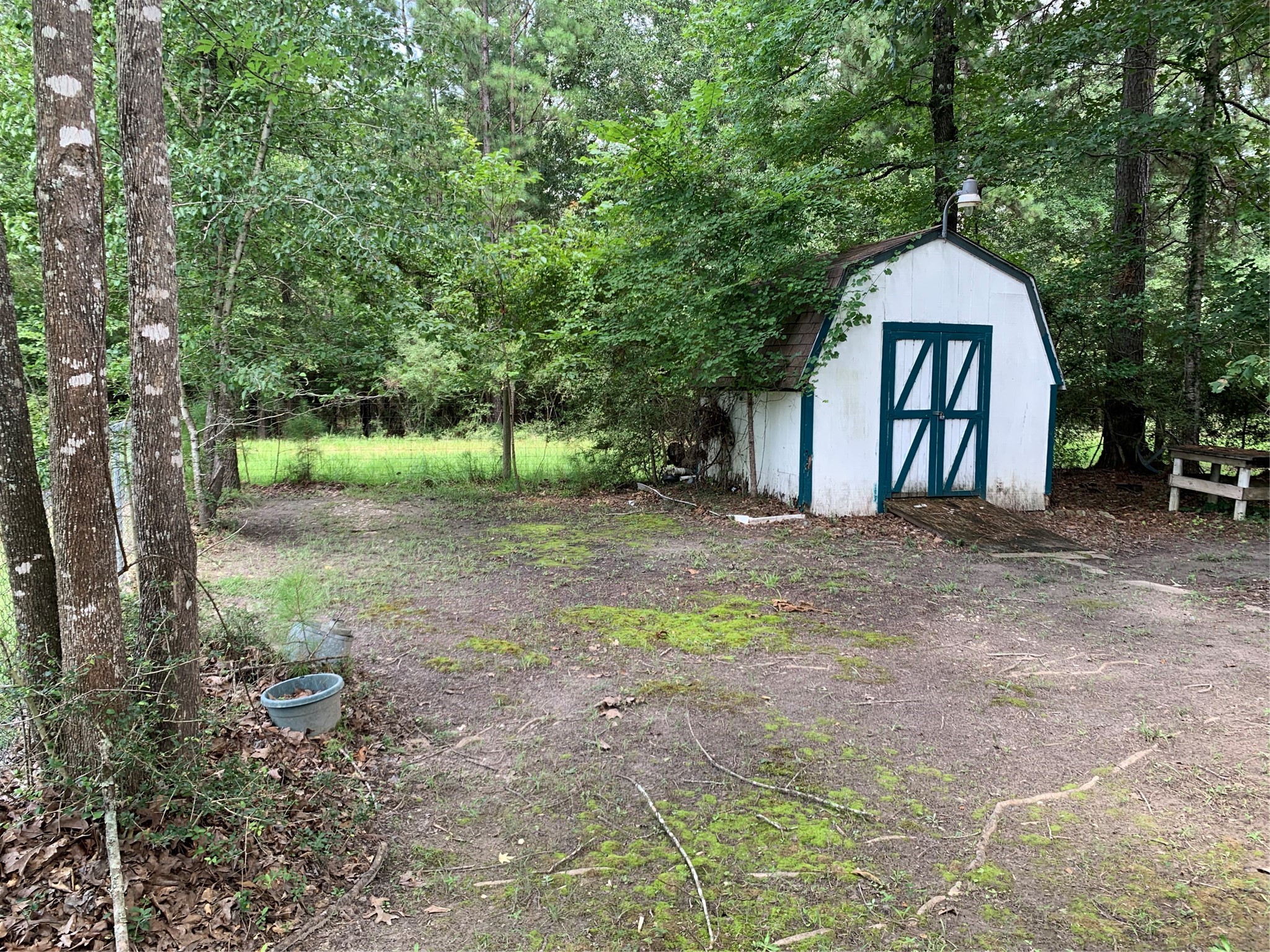 305 Canadian Drive Trinity, TX 75862 - Photo 26 of 29 a backyard of a house with a fountain and large trees