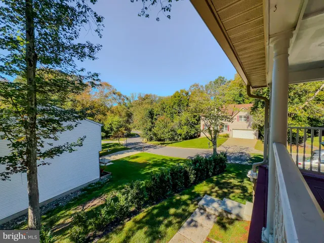 a view of a yard with plants and large trees