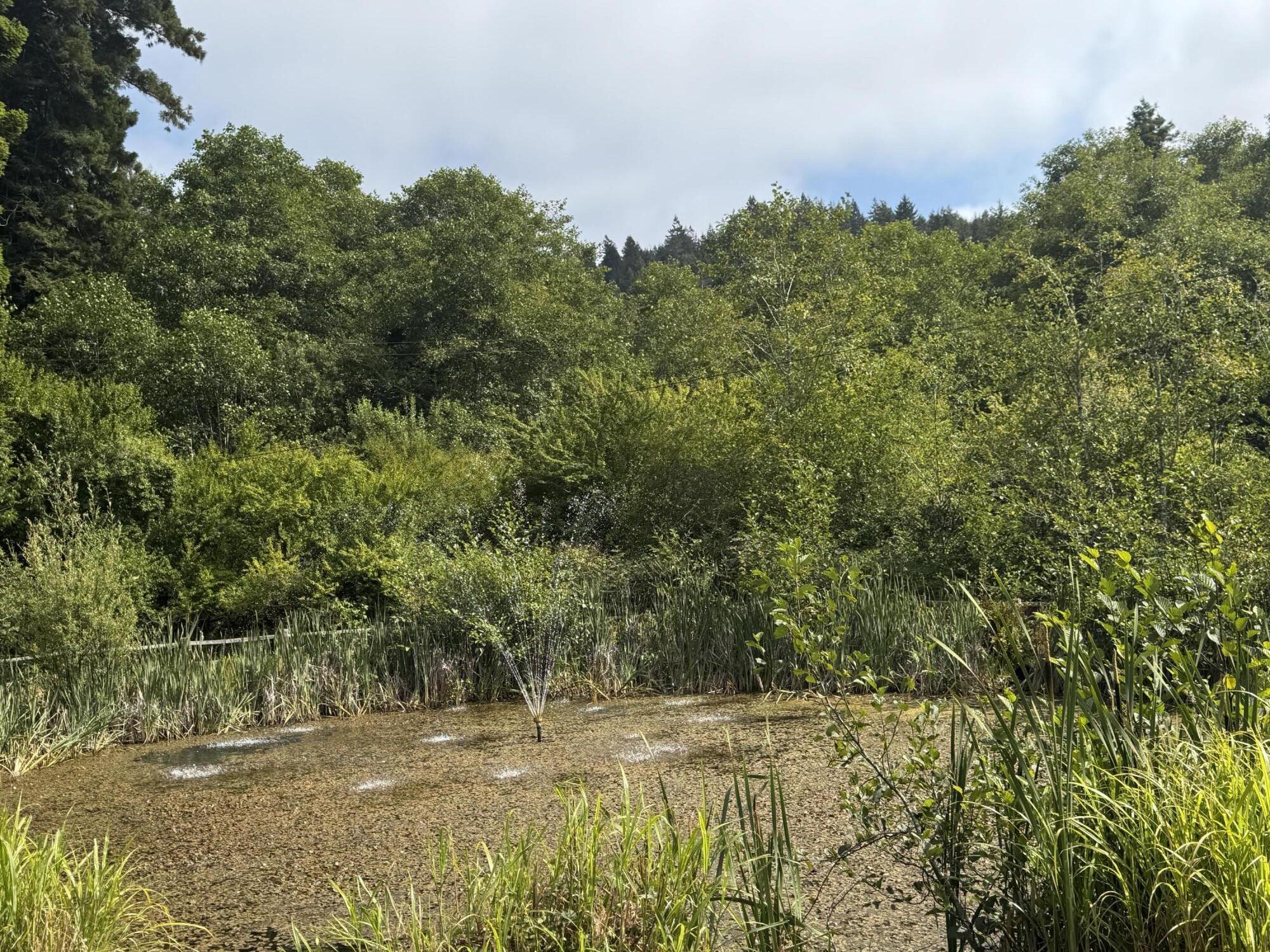 8472 Elk River Road Eureka, CA 95503 - Photo 9 of 46