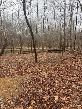 $51,500 | 3 Madison 320, Marquand, MO 63655