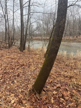 $51,500 | 3 Madison 320, Marquand, MO 63655