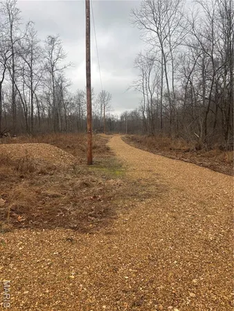 $51,500 | 3 Madison 320, Marquand, MO 63655