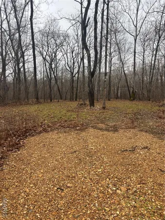 $51,500 | 3 Madison 320, Marquand, MO 63655