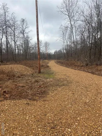 $51,500 | 3 Madison 320, Marquand, MO 63655