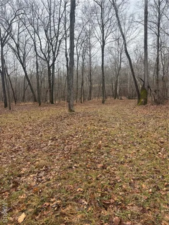 $51,500 | 3 Madison 320, Marquand, MO 63655