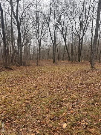 $51,500 | 3 Madison 320, Marquand, MO 63655
