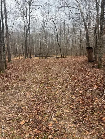 $51,500 | 3 Madison 320, Marquand, MO 63655