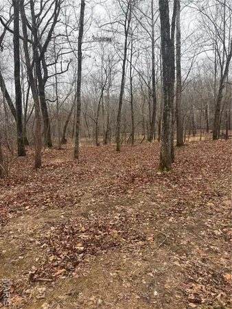 $51,500 | 3 Madison 320, Marquand, MO 63655