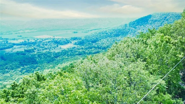 view of a green field