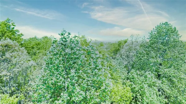 an aerial view of residential houses with outdoor space and trees all around