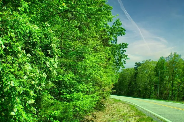 a view of a yard with a tree