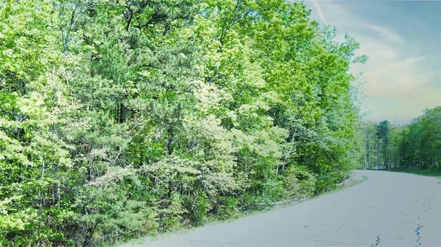 a view of a yard with plants and wooden fence
