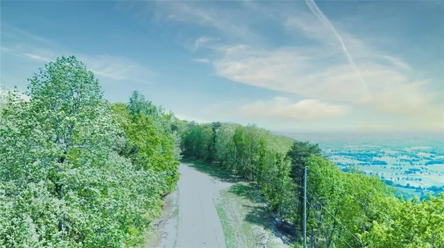 a view of a green field with lots of bushes