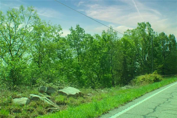 a view of a lush green space