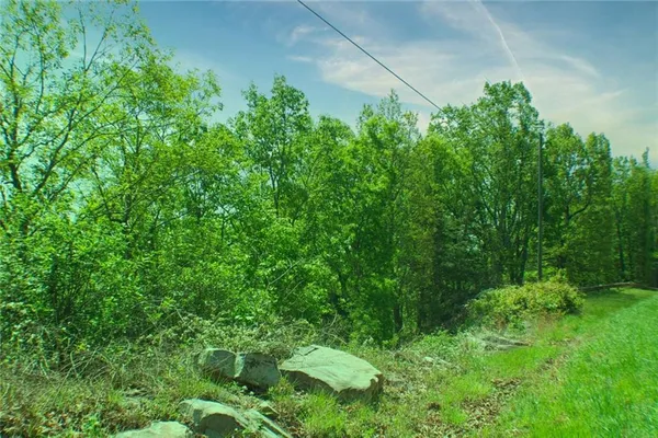 a view of a yard