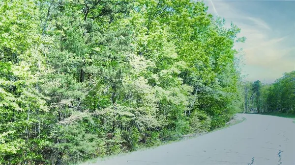 a view of a lush green space